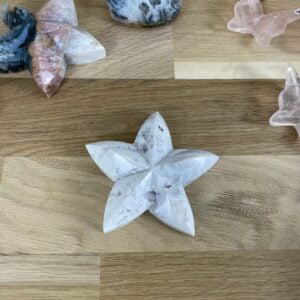 etoile agate neige 131