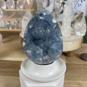 Oeuf celestine 366