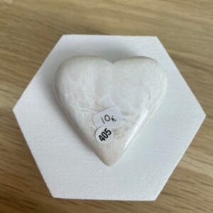 coeur scolecite 405
