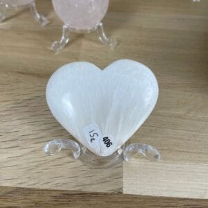 coeur scolecite 406