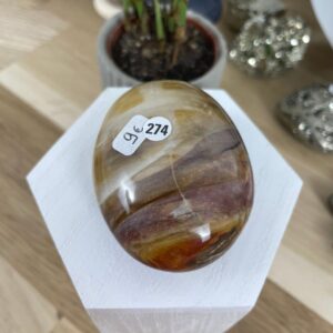 galet bois fossile 274