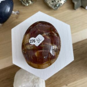 galets bois fossile 276