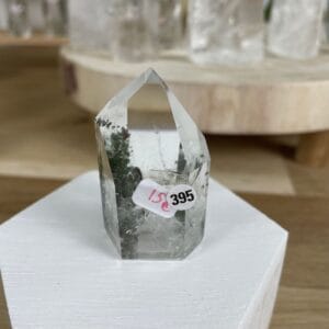 pointe lodolite 395