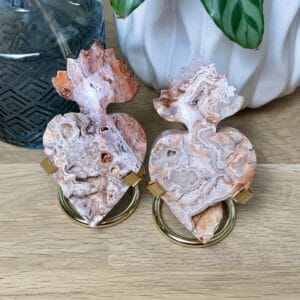 ex-voto crazy lace rose